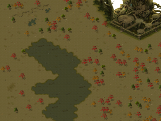 Forest, map section 1